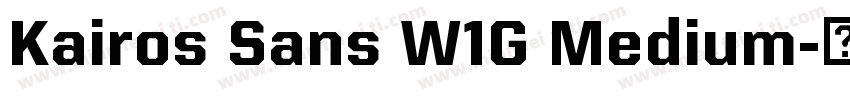 Kairos Sans W1G Medium字体转换